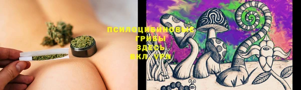 кокаин Новодвинск