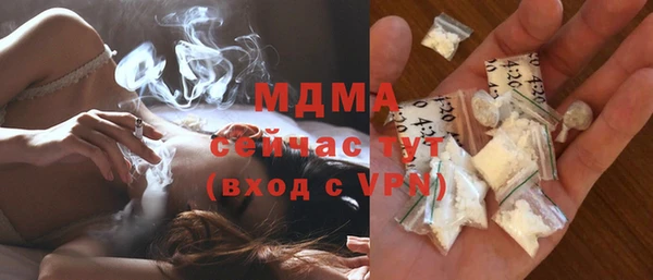 твердый Новозыбков