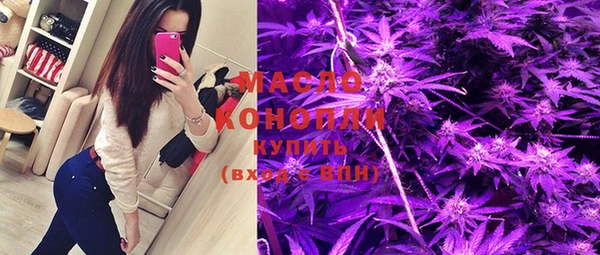 твердый Новозыбков