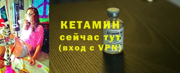 твердый Новозыбков