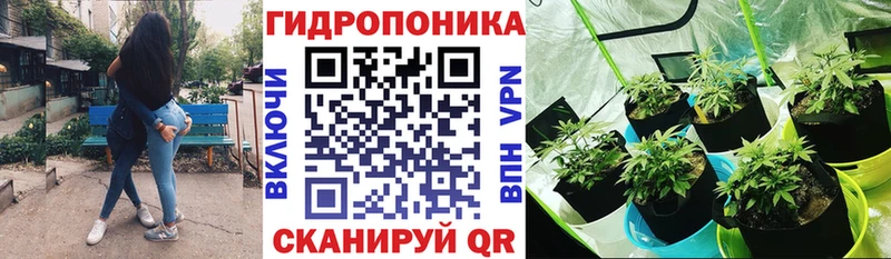 Конопля AK-47 Нестеровская